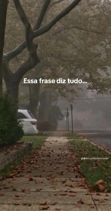 @Claudia Carreiro6