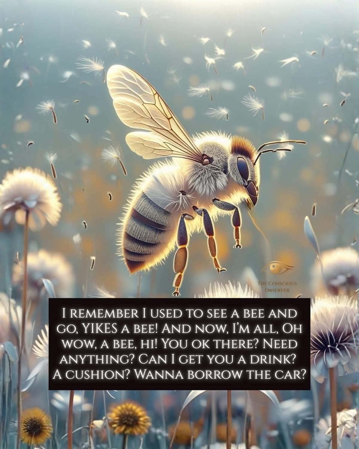 @Heather 🐝 ❌️💜♋️✝️☮️💜