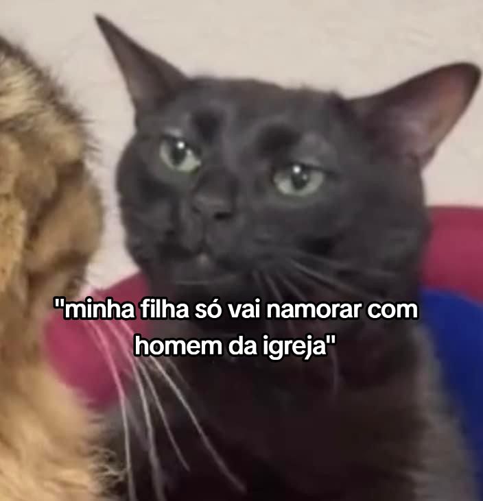 @🦦