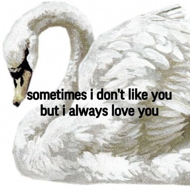@444