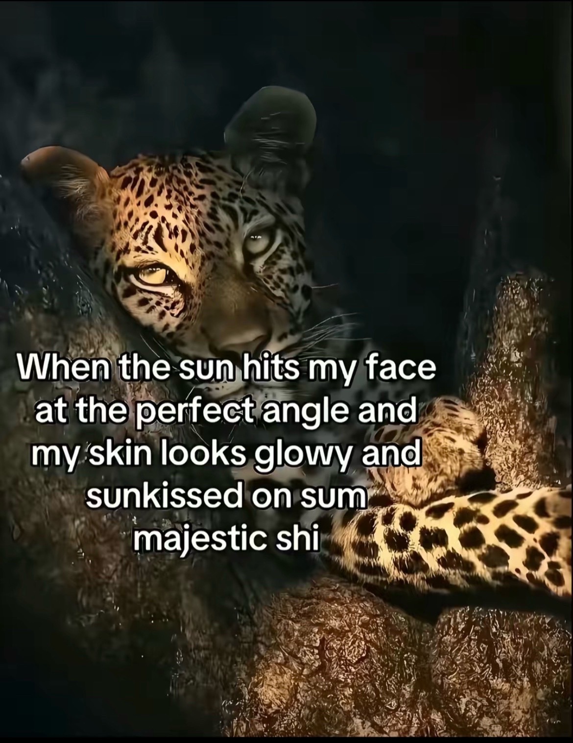 @nomorekay