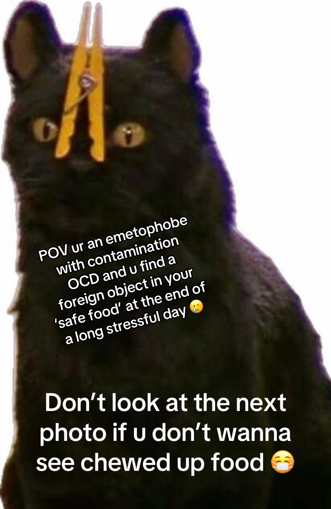 @Mothman Randy Savage