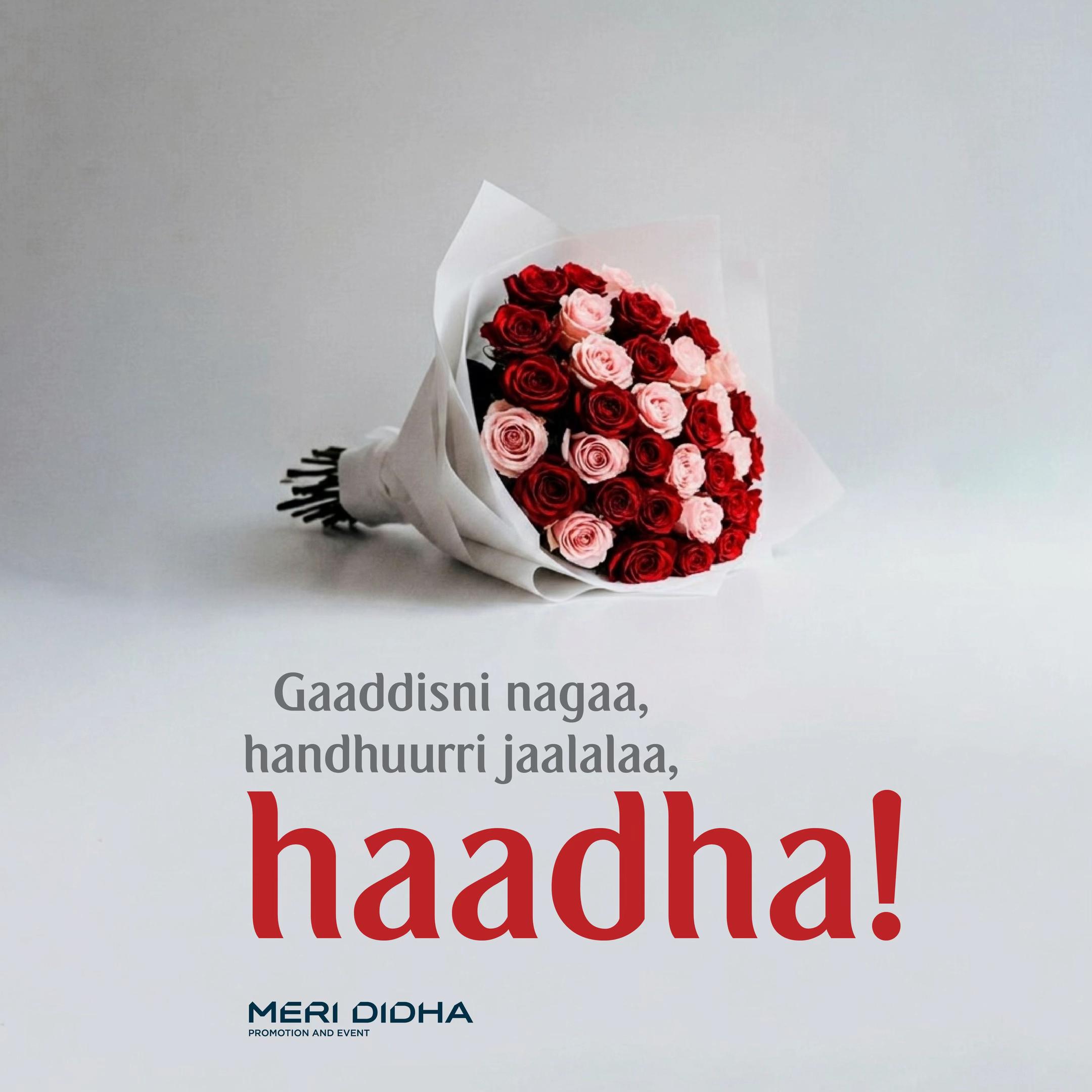 @Meerii Didha 🦅🦅🦅