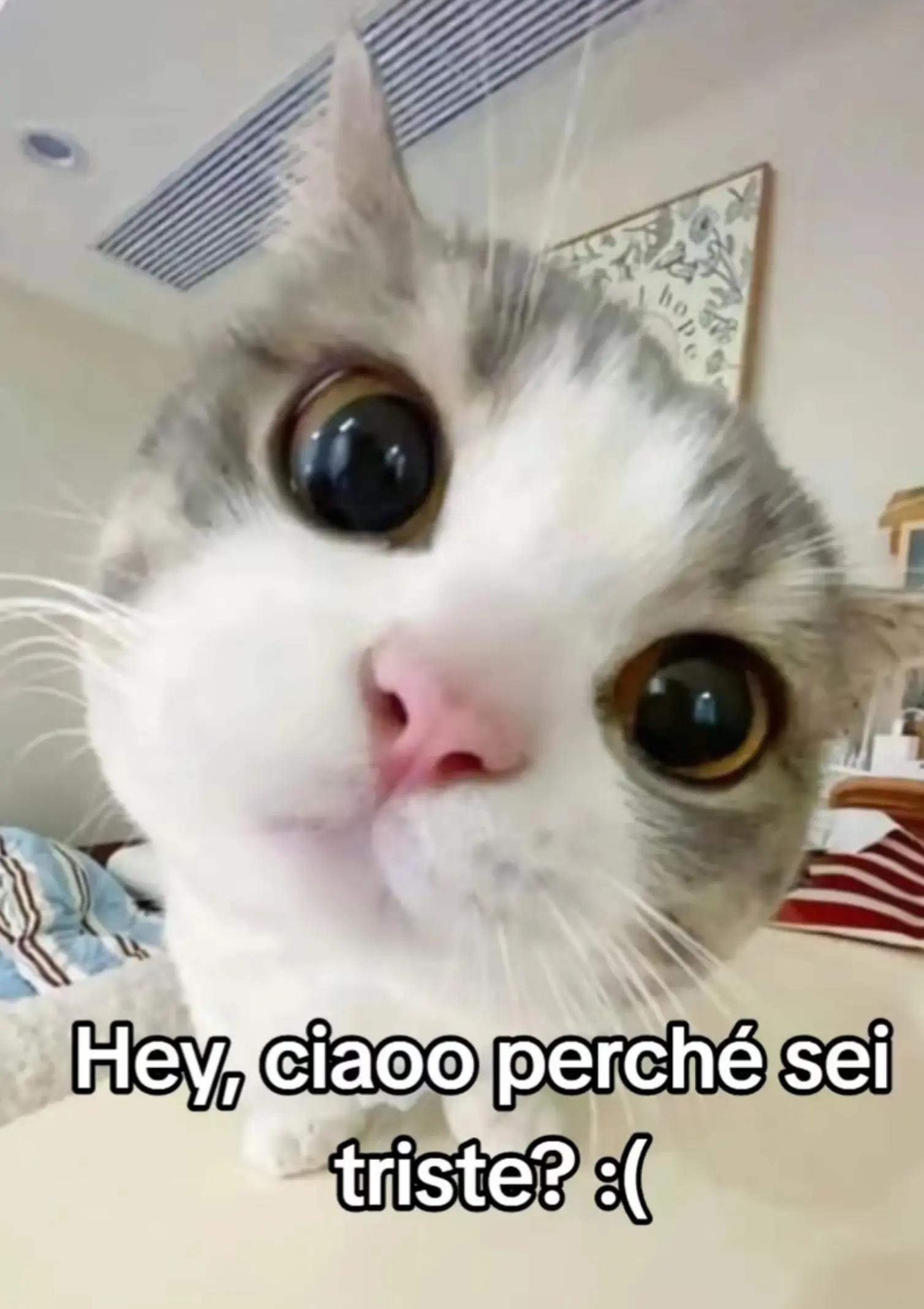 @LUCA GEORGE BAJAN