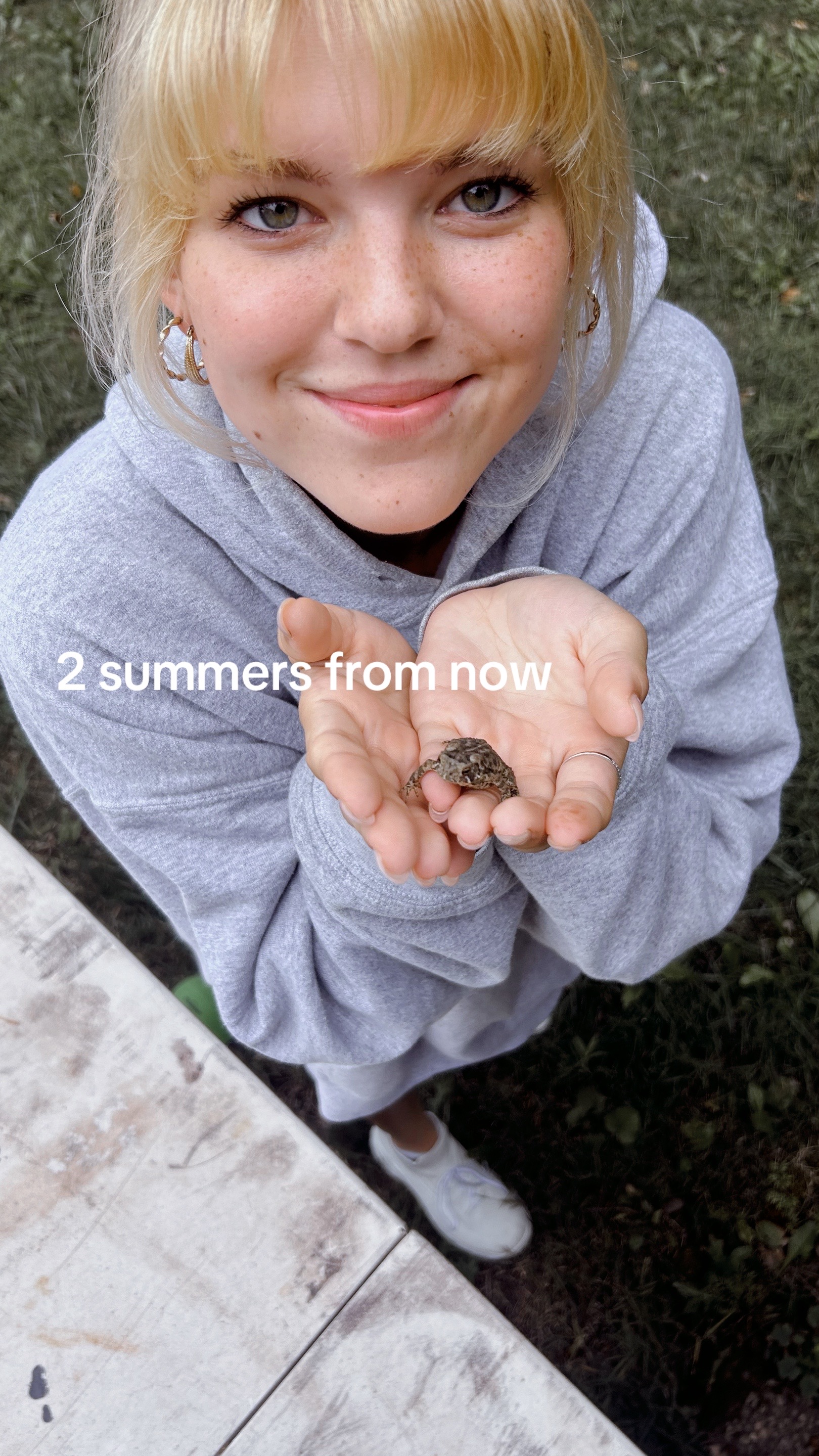 @scherer.lauren