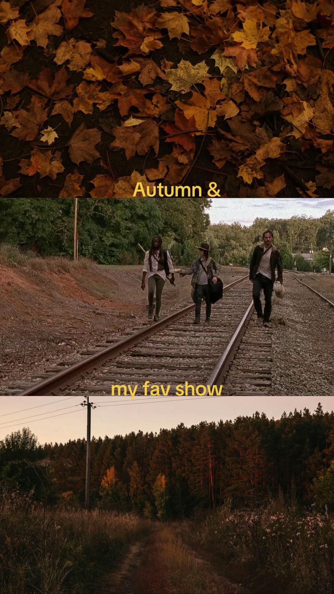 @TwdHolic