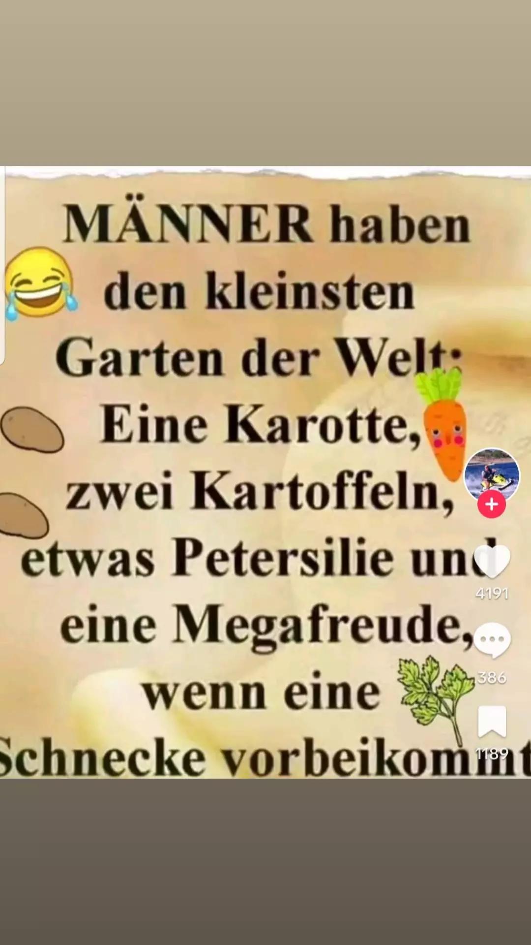 @Feli Haupt