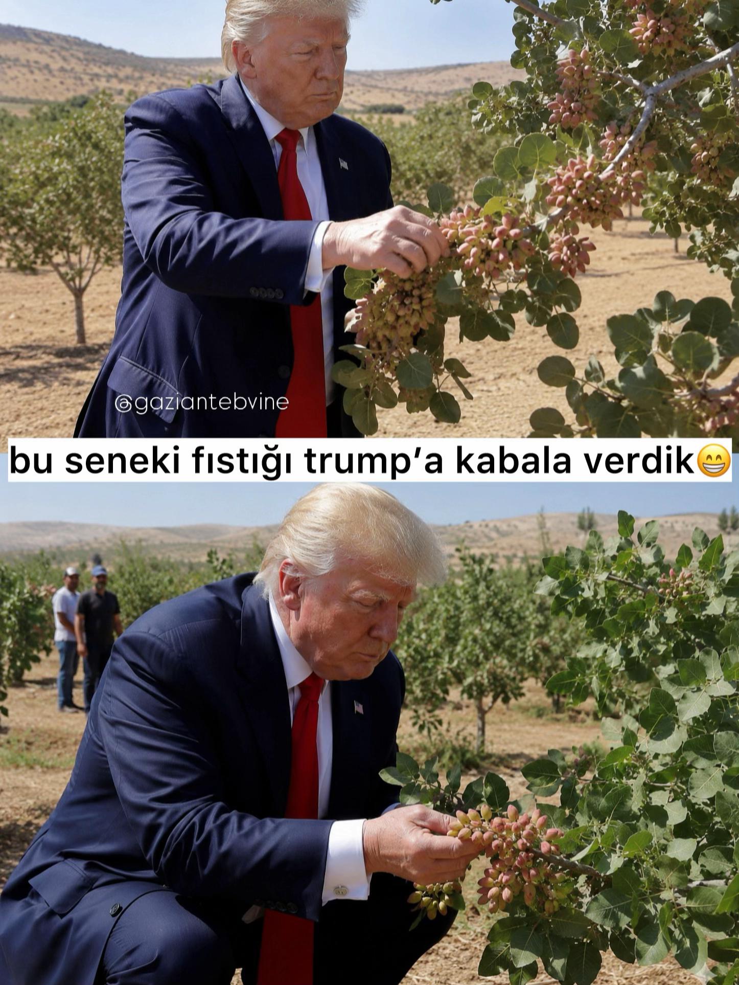 @gaziantepvine