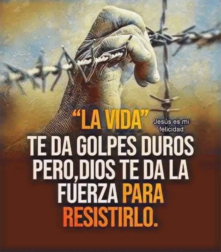 @Anapineda1991