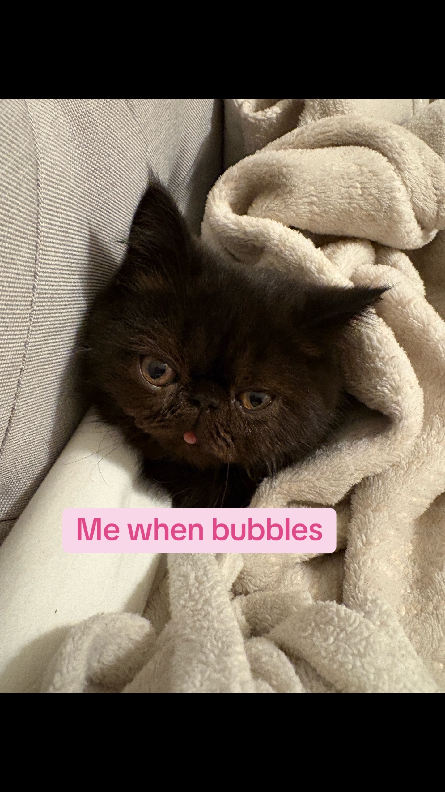@Bubbles