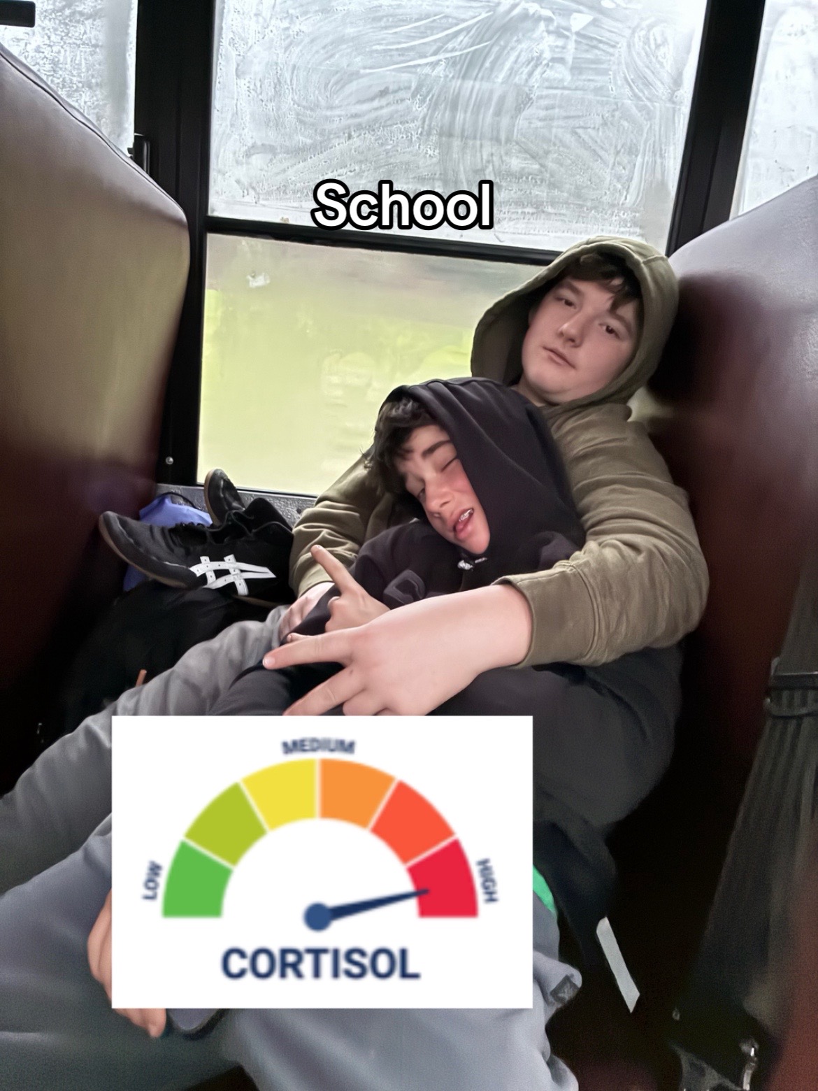 @𝔽𝕦𝕥𝕦𝕣𝕖𝕝𝕖𝕤𝕤