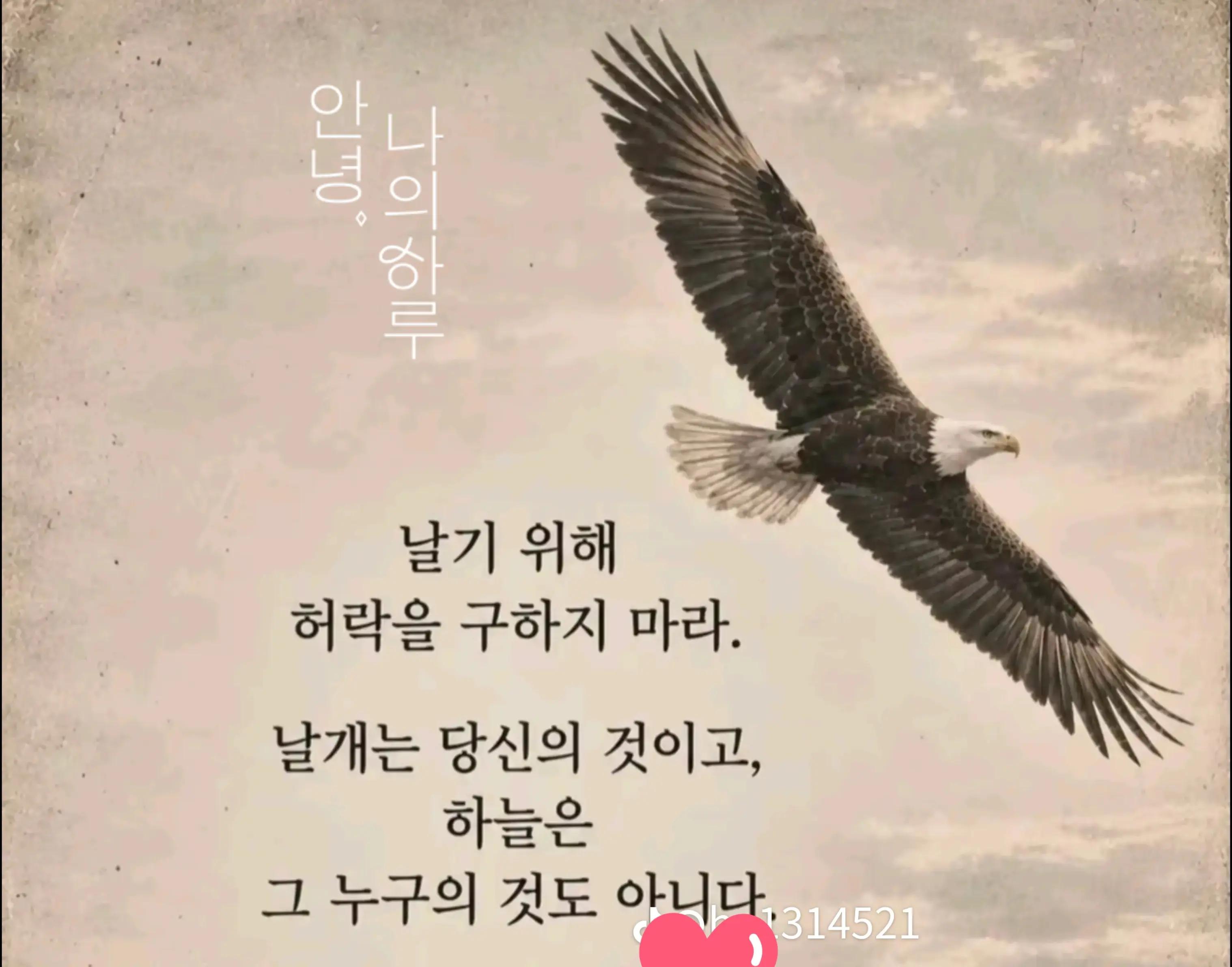 @๐ด๐ค๋ง์งใ์ด์๐ค๐ด๐ค