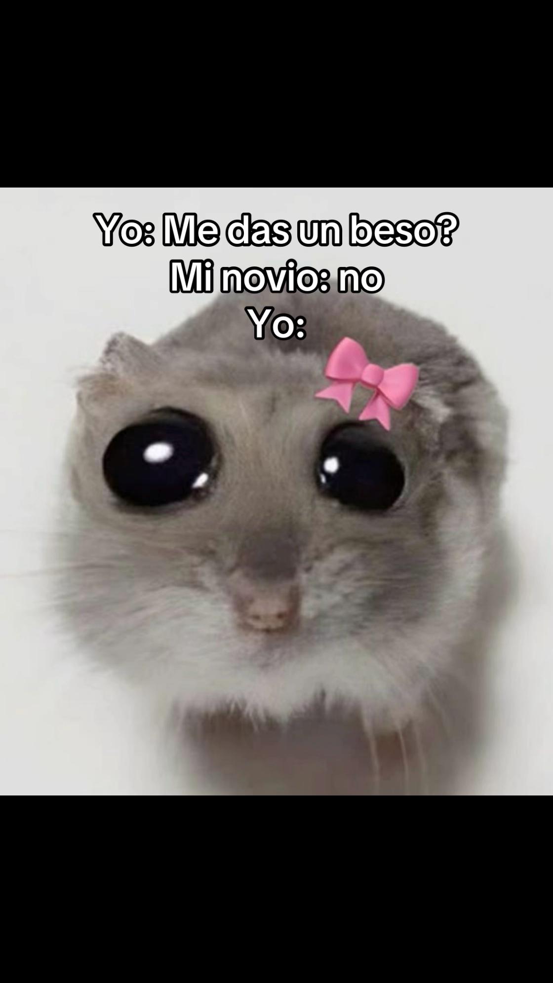 @Ximenita🫶🏻