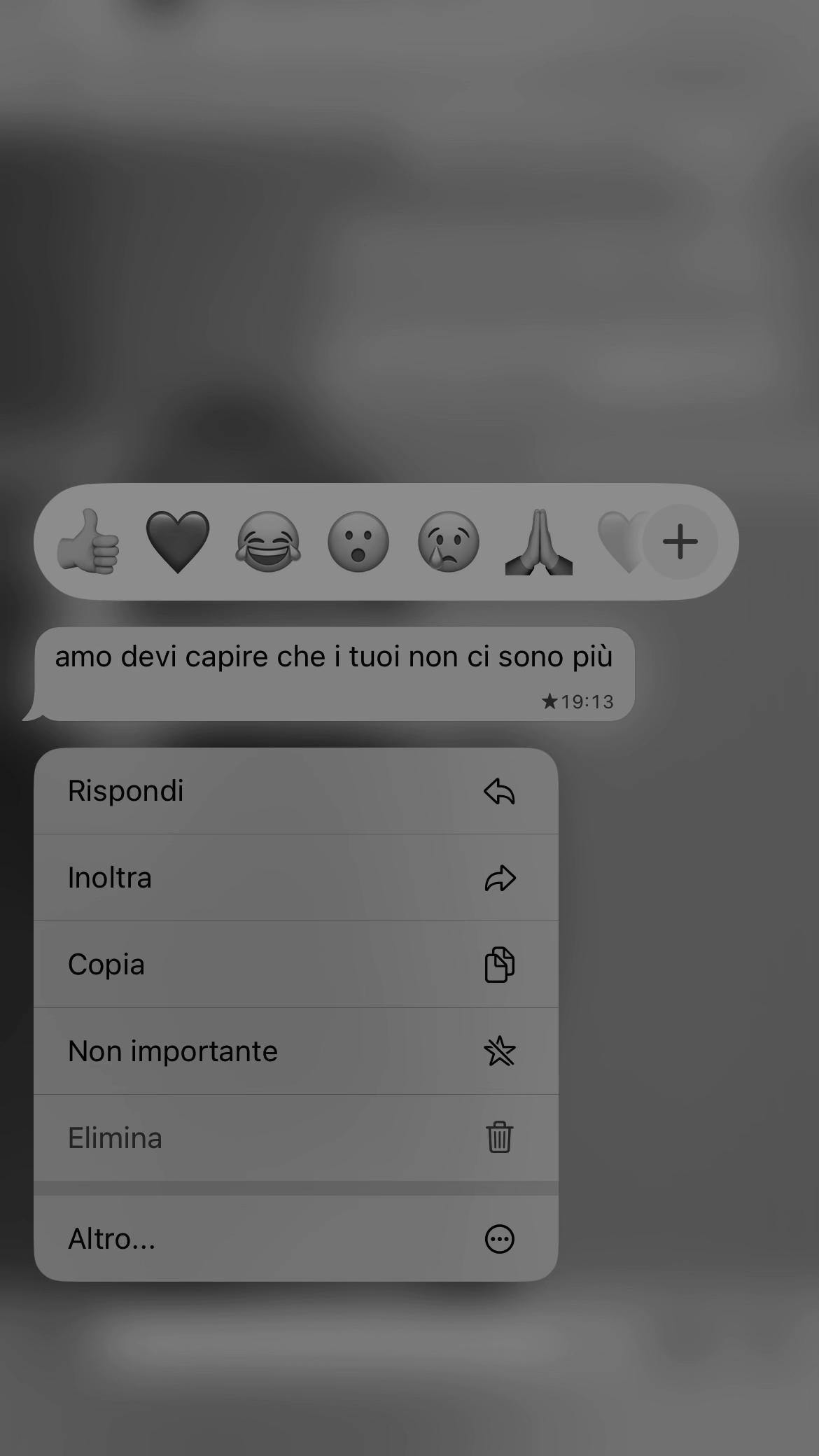 @ximena