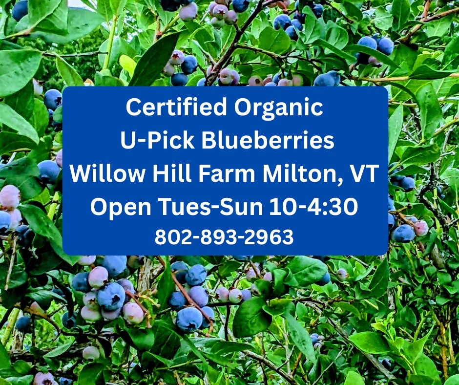 @Willow Hill Farm