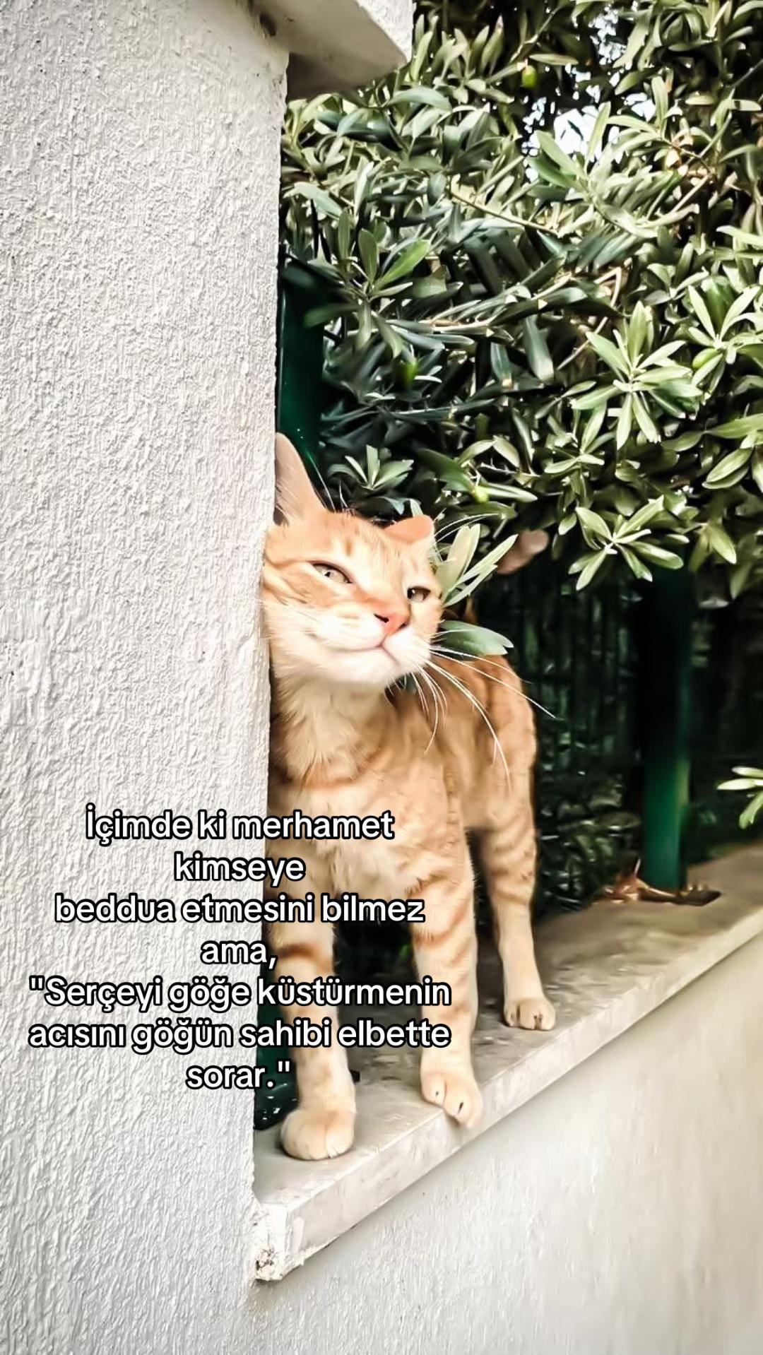 @sedanur🦦