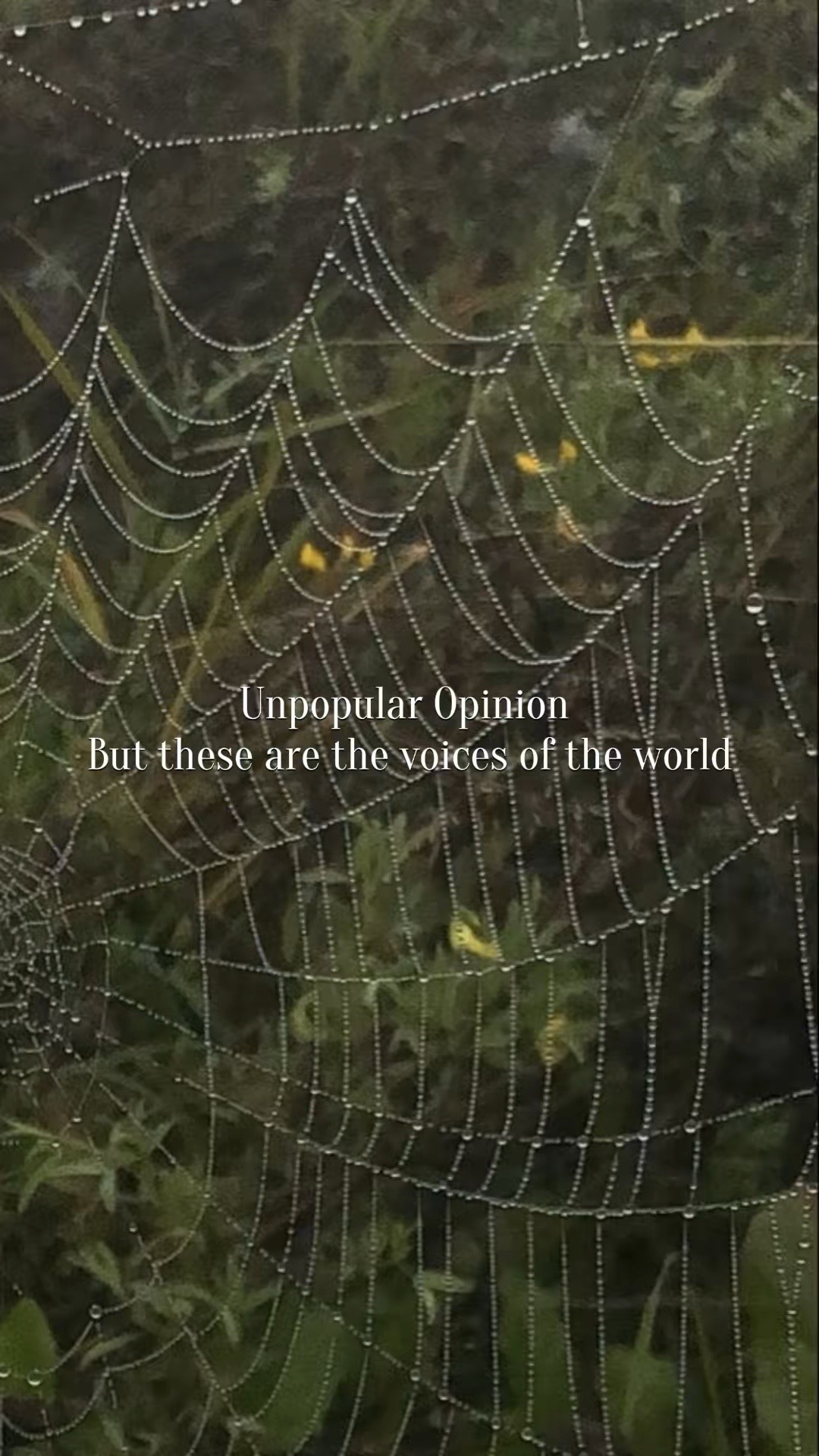 @⋆˚꩜｡༺𓋼𓍊𝐹𝒶𝑒𝒯𝓇𝒶𝓅𓍊𓋼༻☆