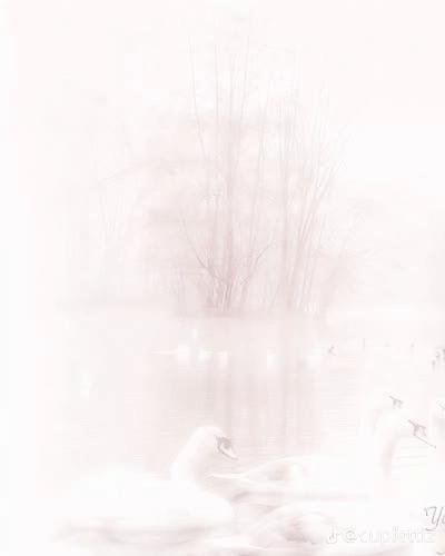 @𝘭𝘪𝘵𝘵𝘭𝘦𝘬𝘪𝘵𝘵𝘺