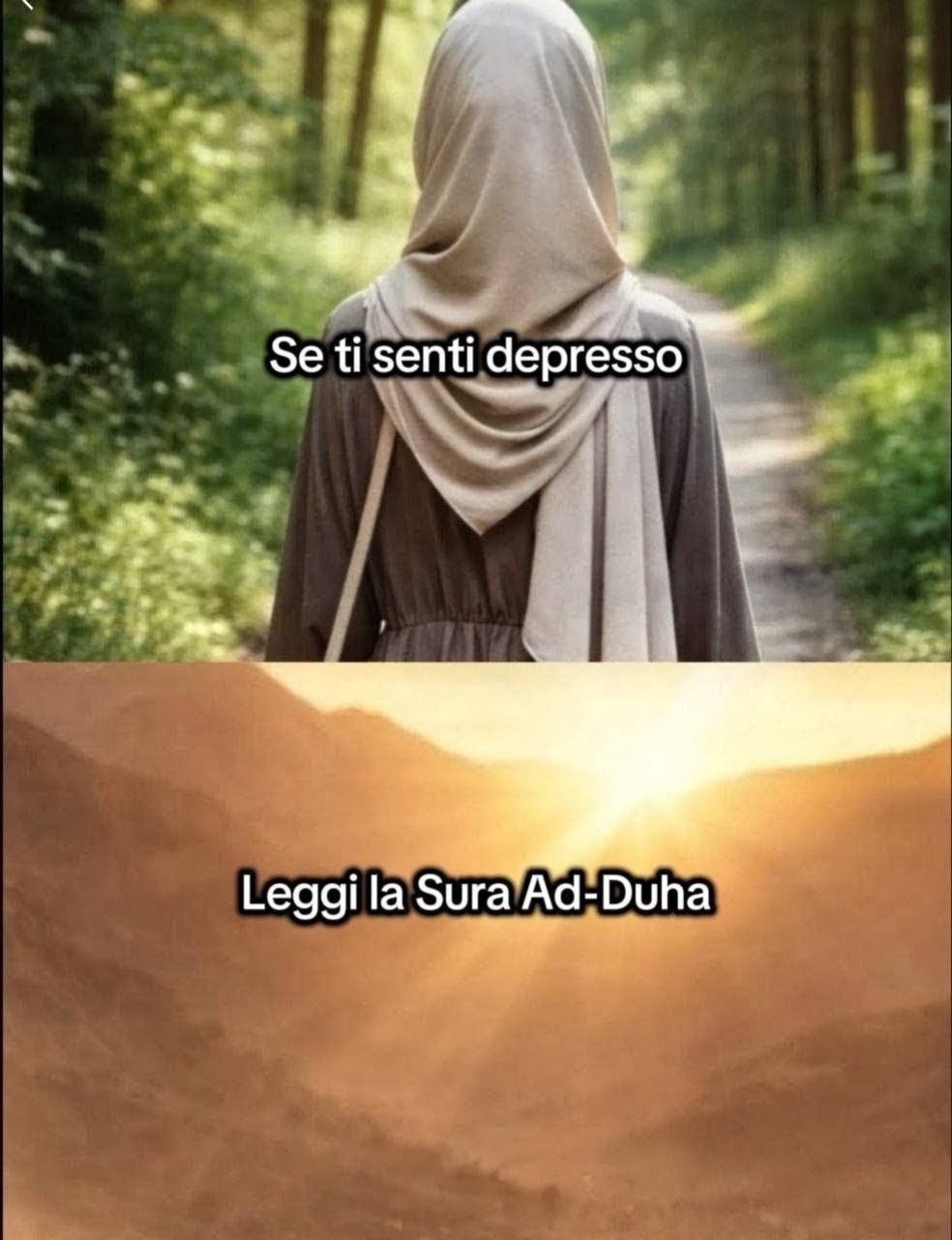 @DINI