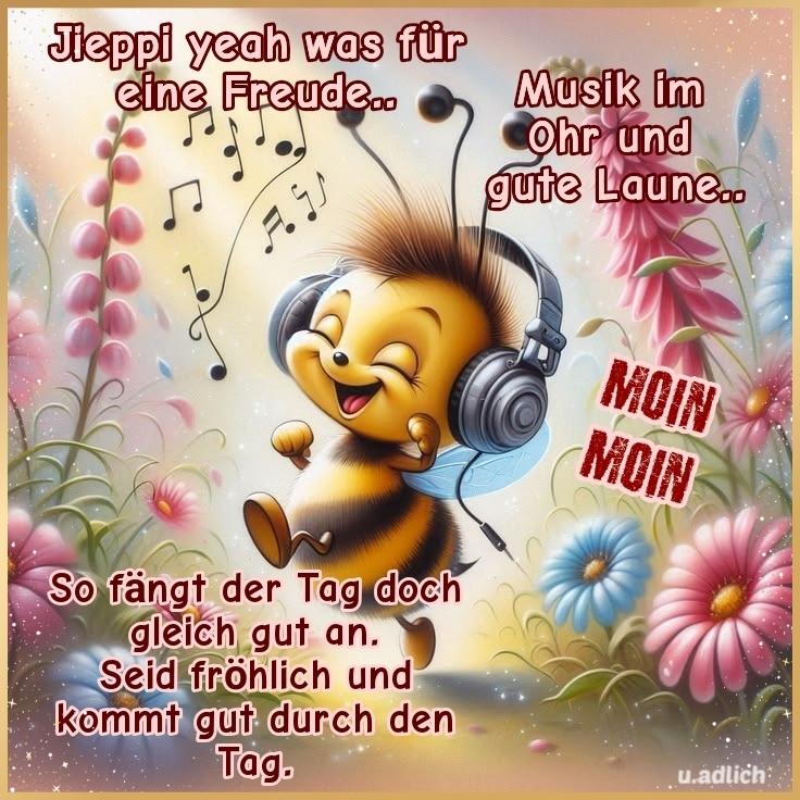 @Hans