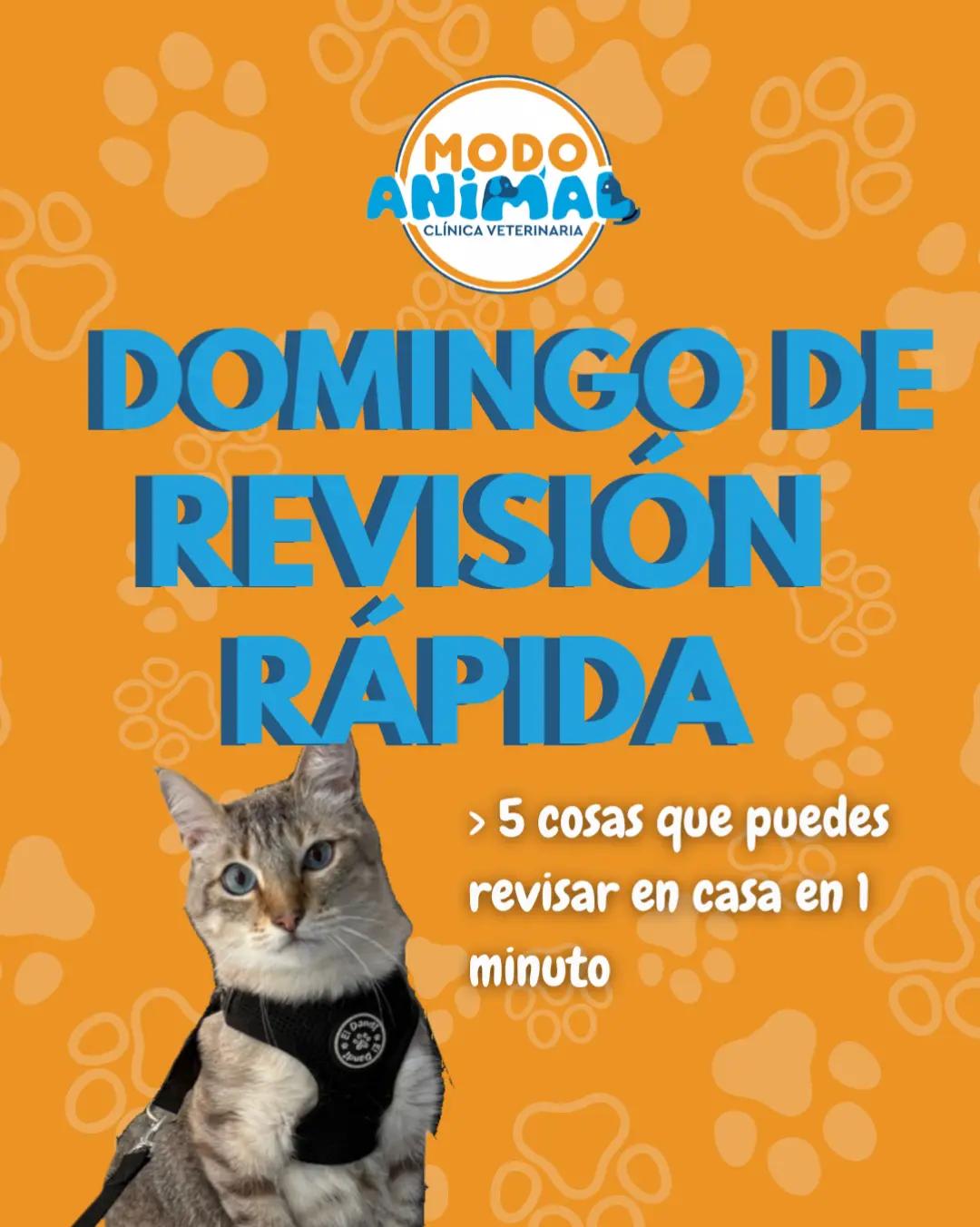 @VetModoAnimal