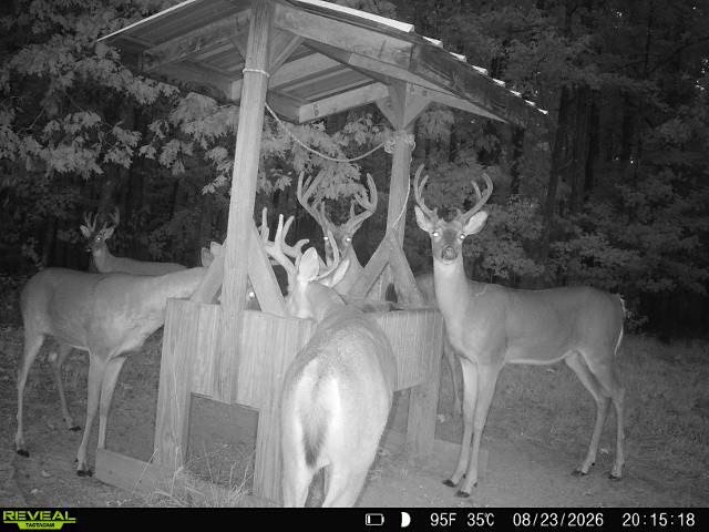 @🦌🦆🎣E.L.I.F🎣🦆🦌