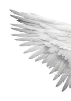 @Angelic 4 me🪽
