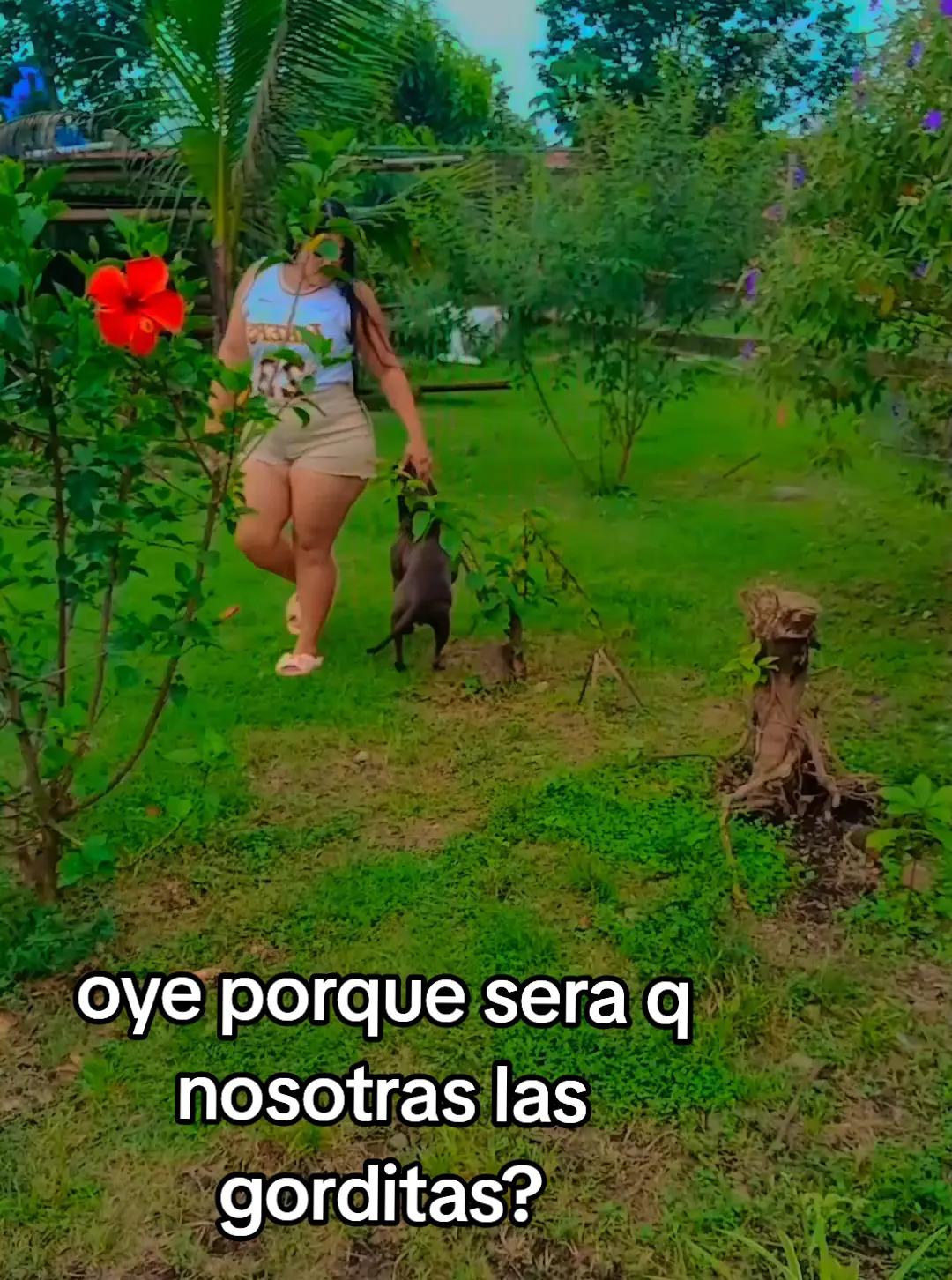@stephania366