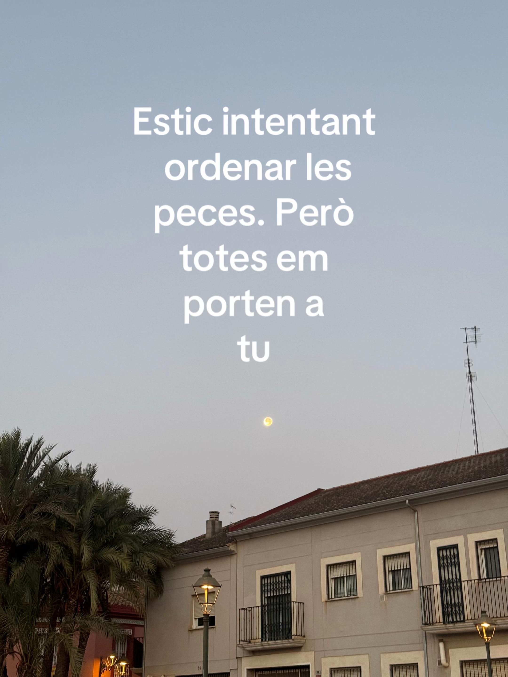 @morci_ypunto