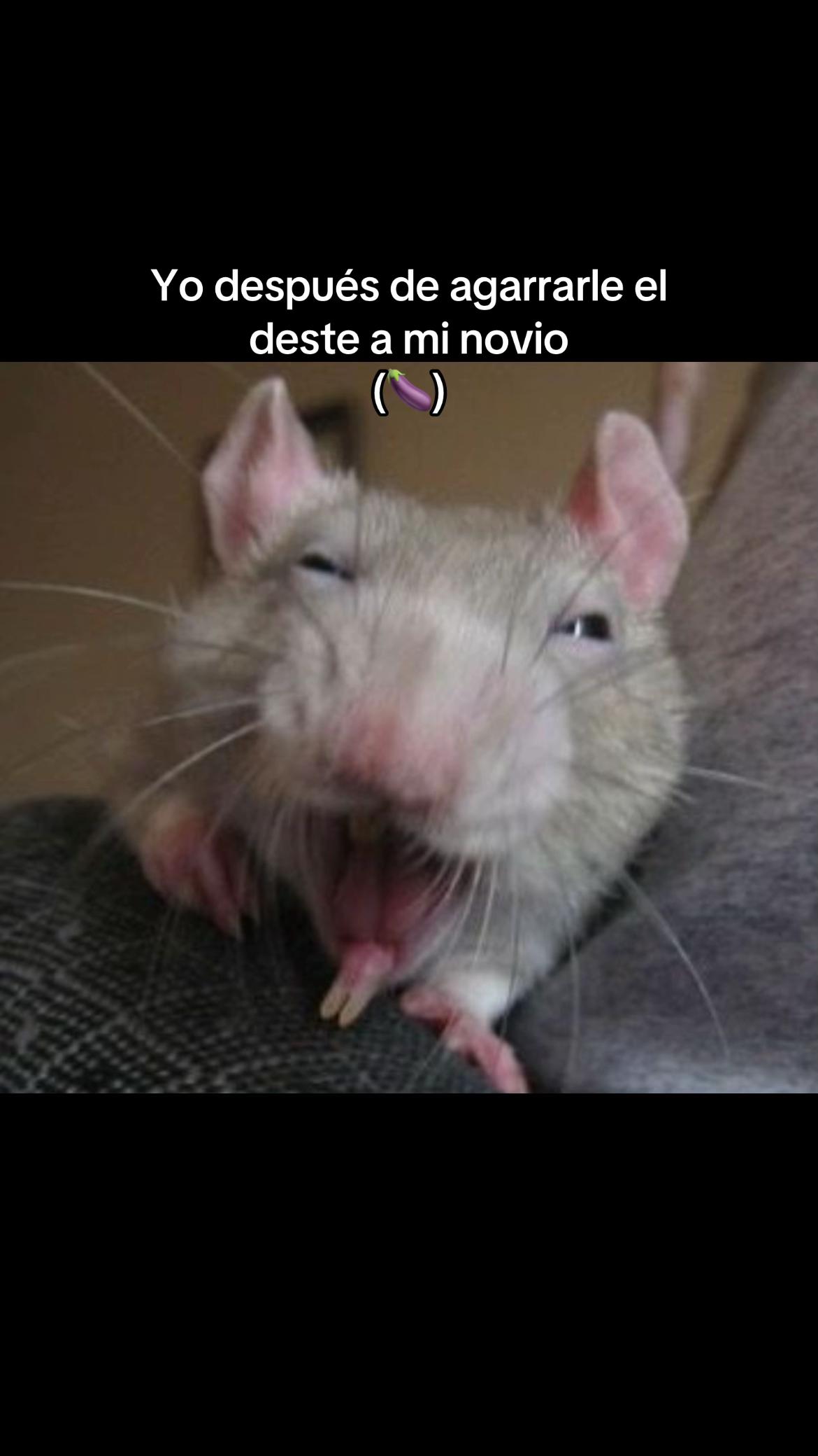 @Ximenita🫶🏻