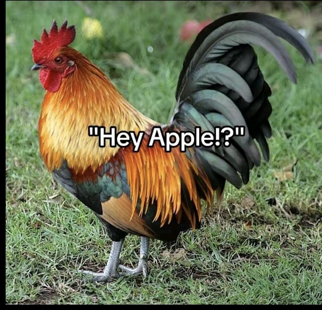 @HUGALDO👺🤬