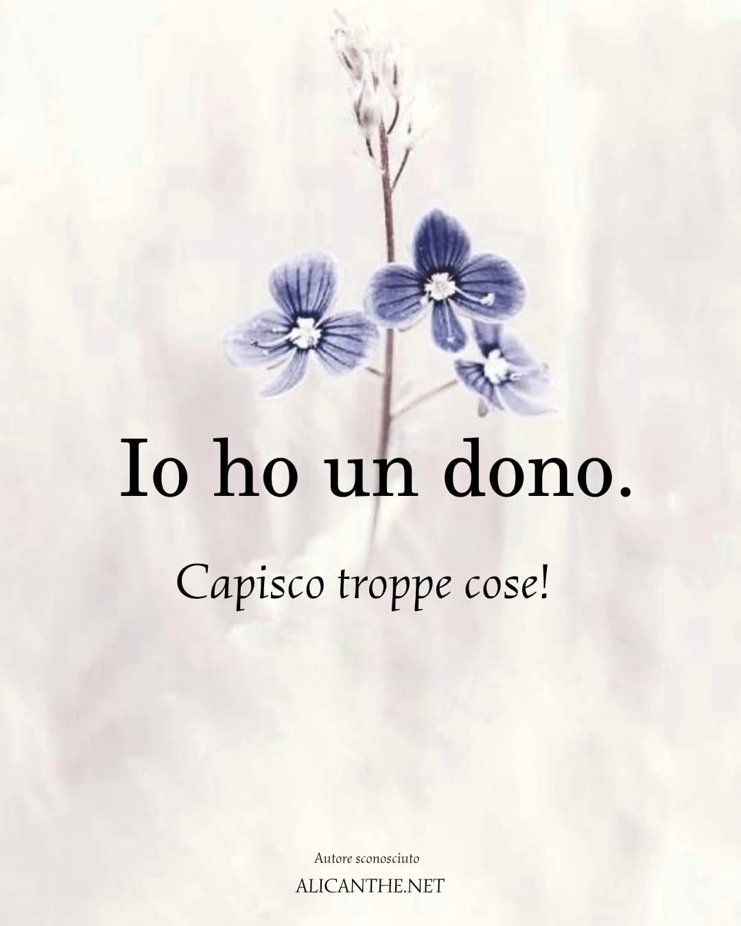 @Giuseppina Grippo