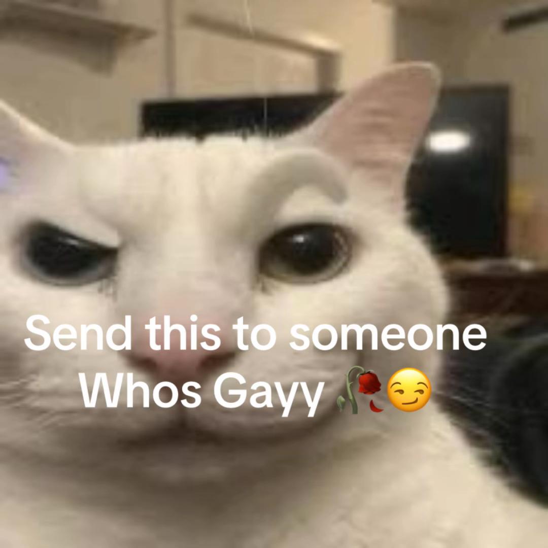 @Stories Meow