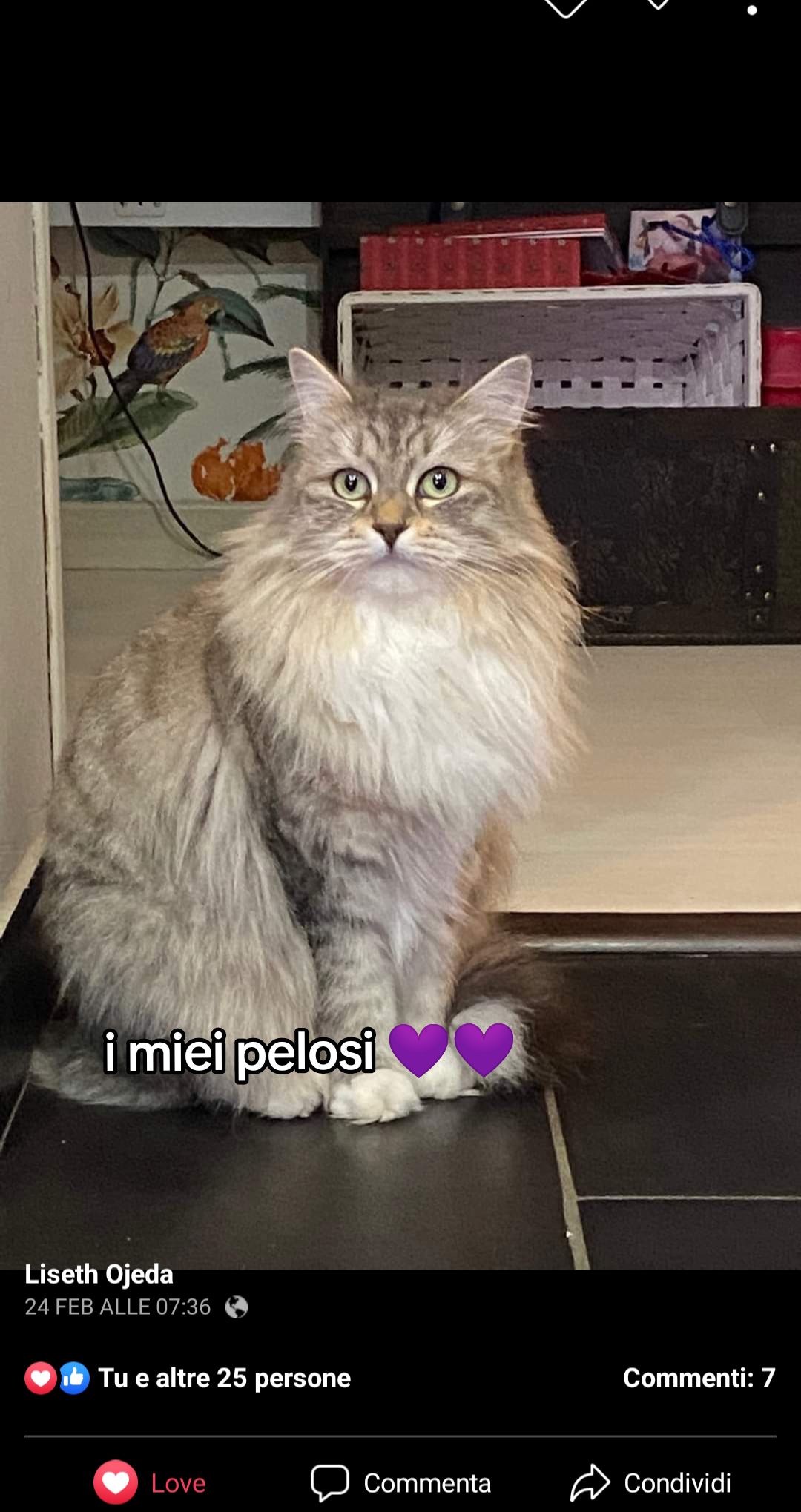 @Lis💜