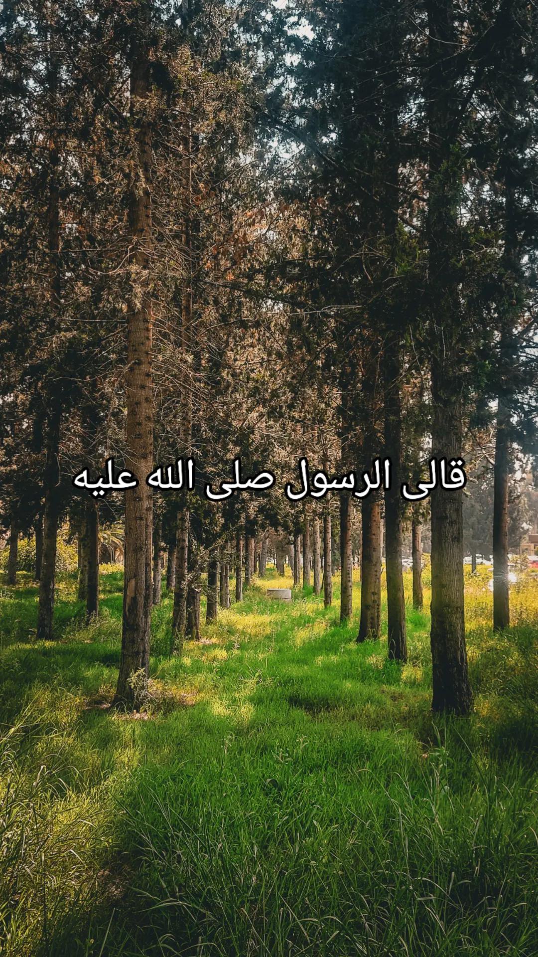 @القرآن الكريم