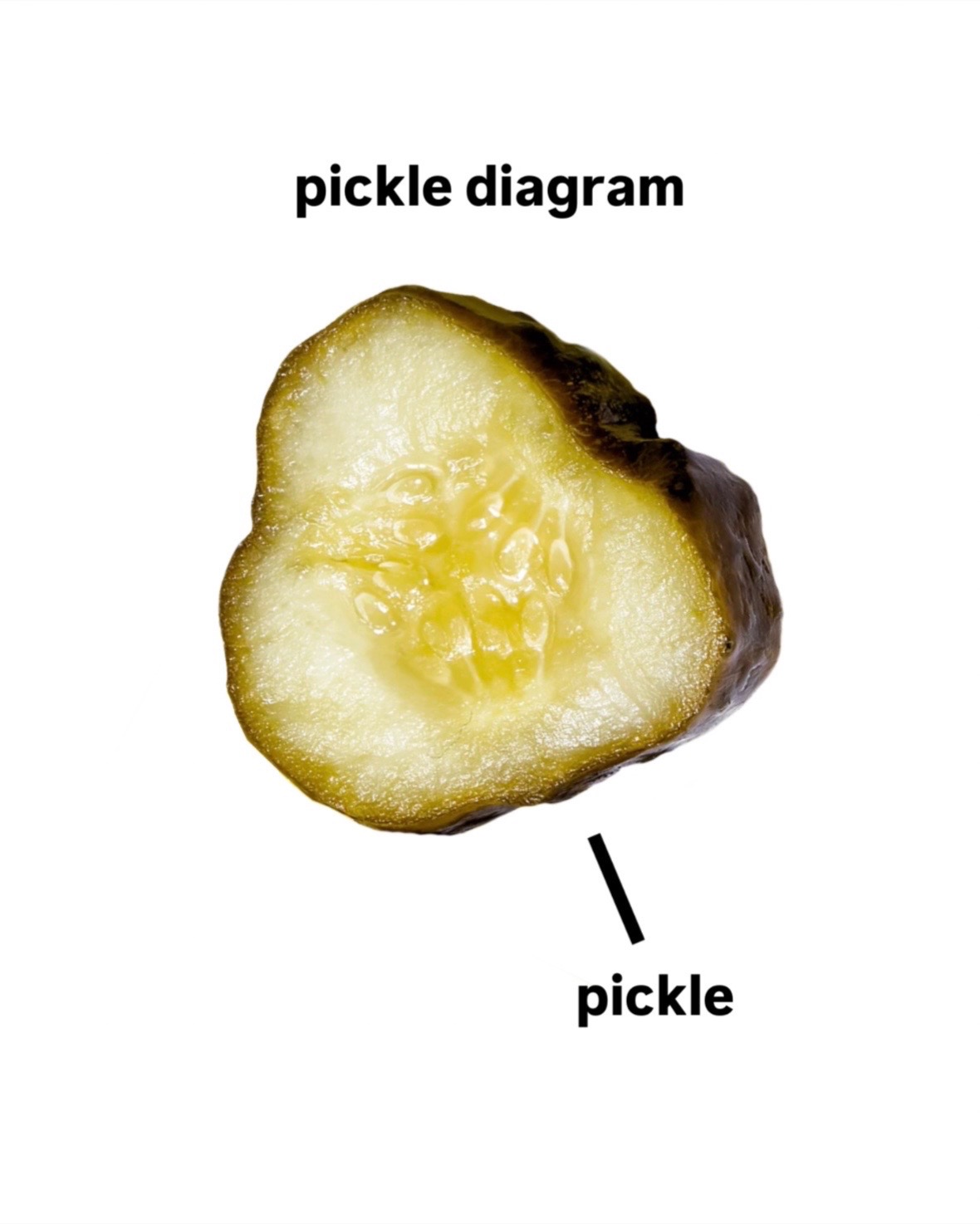 @OH SNAP! Pickling