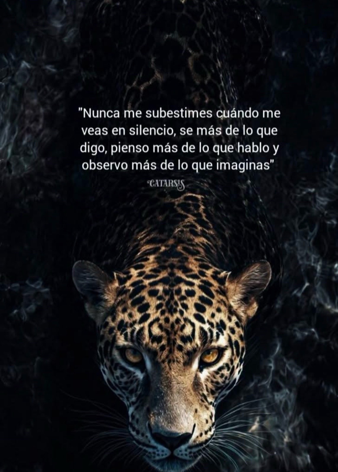 @🍀🎱el viejon🖤🍀💸