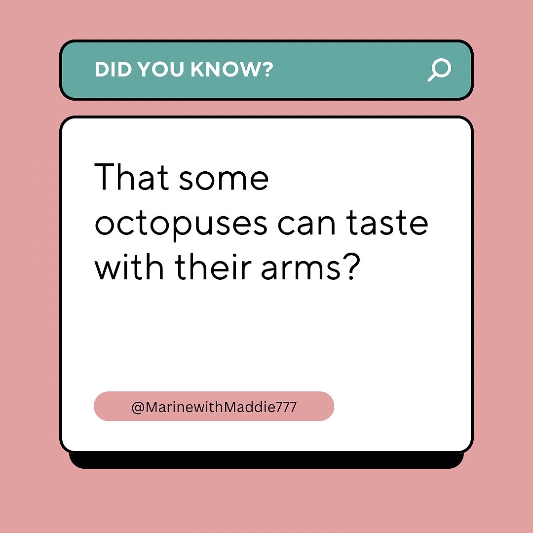 @Your Ocean BFF & Fun Facts🪼