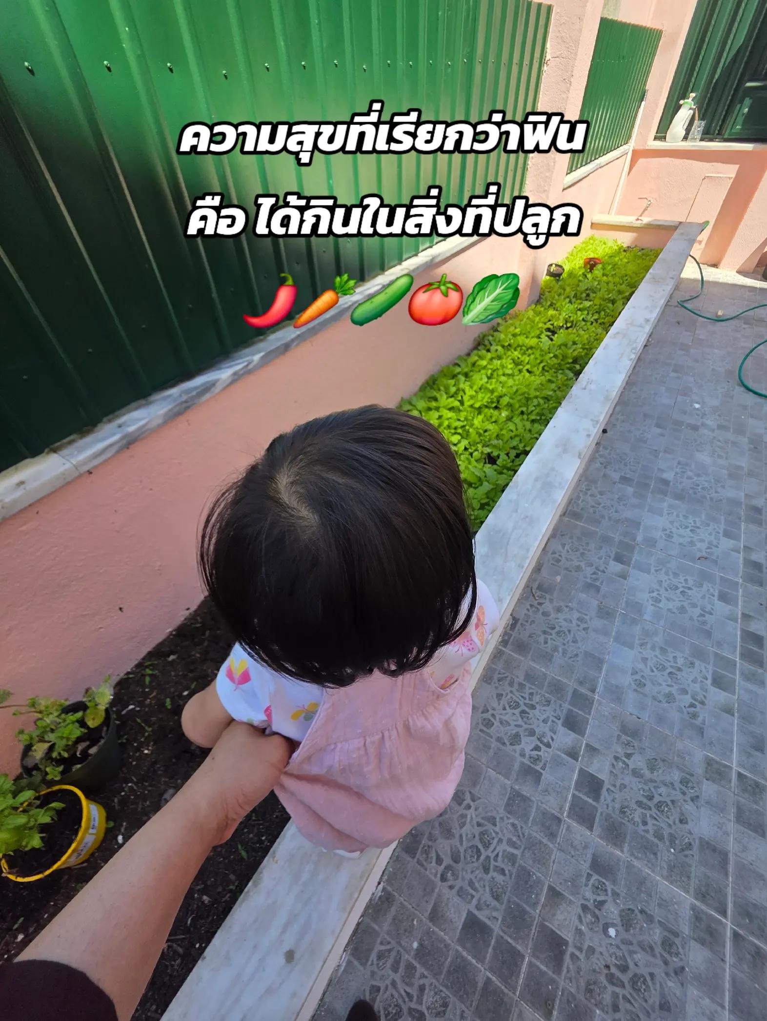 @🌻 MAYLINDA 🐰