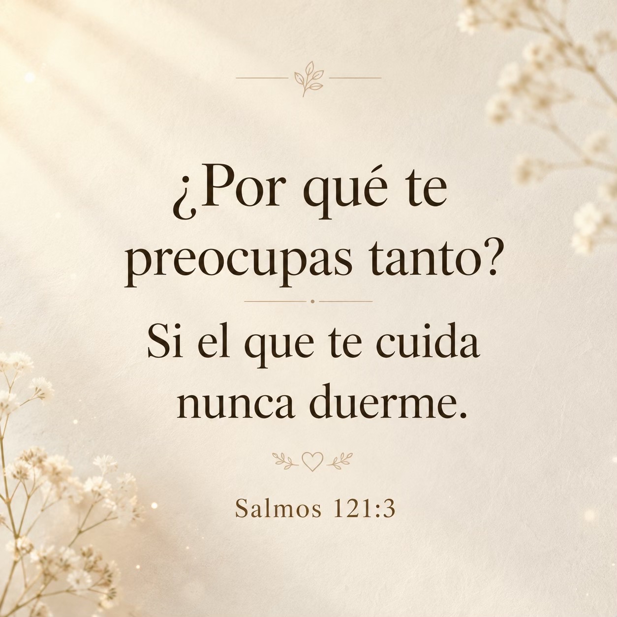 @avioneta_divertida