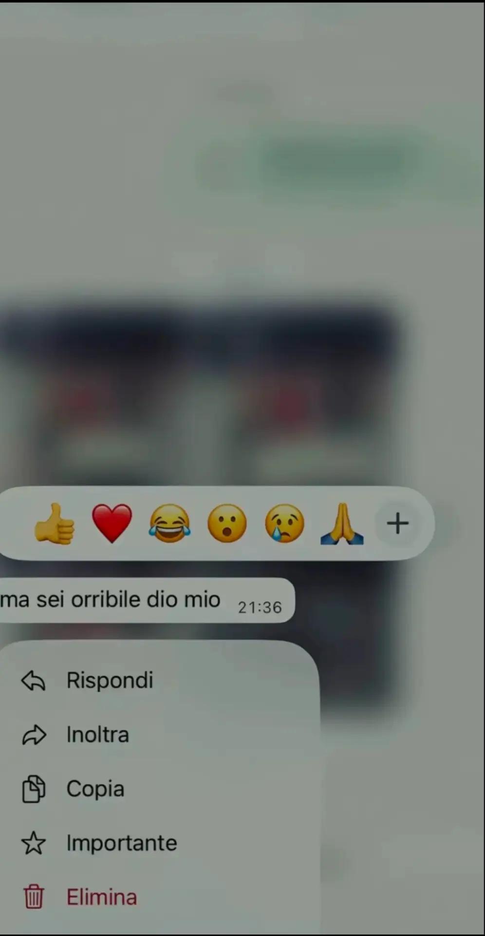 @spamm_sofiajk_🎭