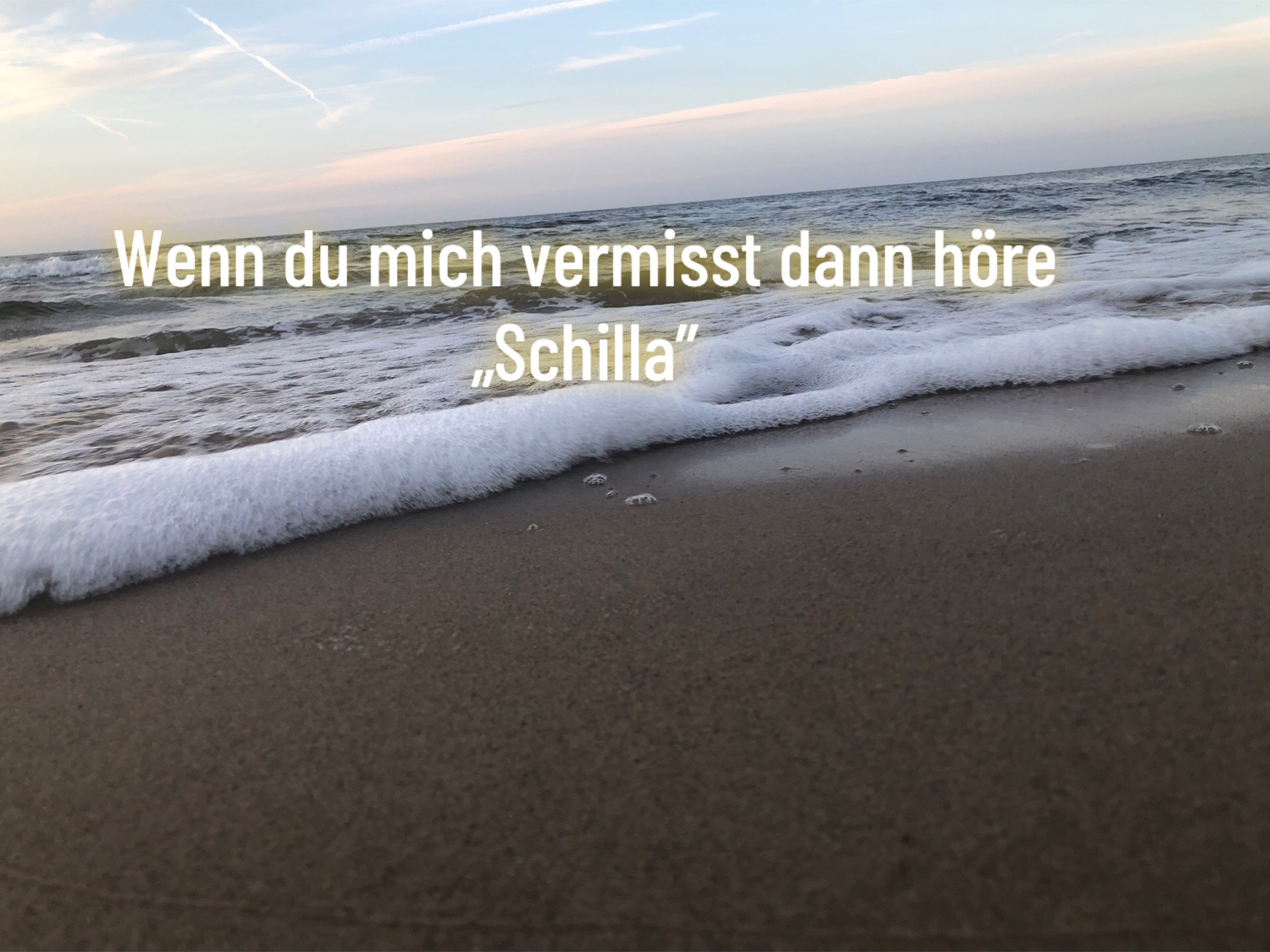 @seanf514🇩🇪