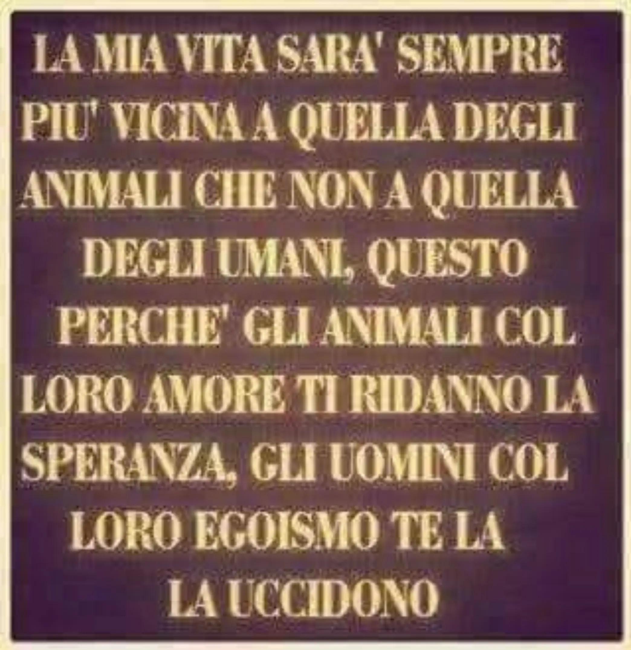 @massimopaniccia58
