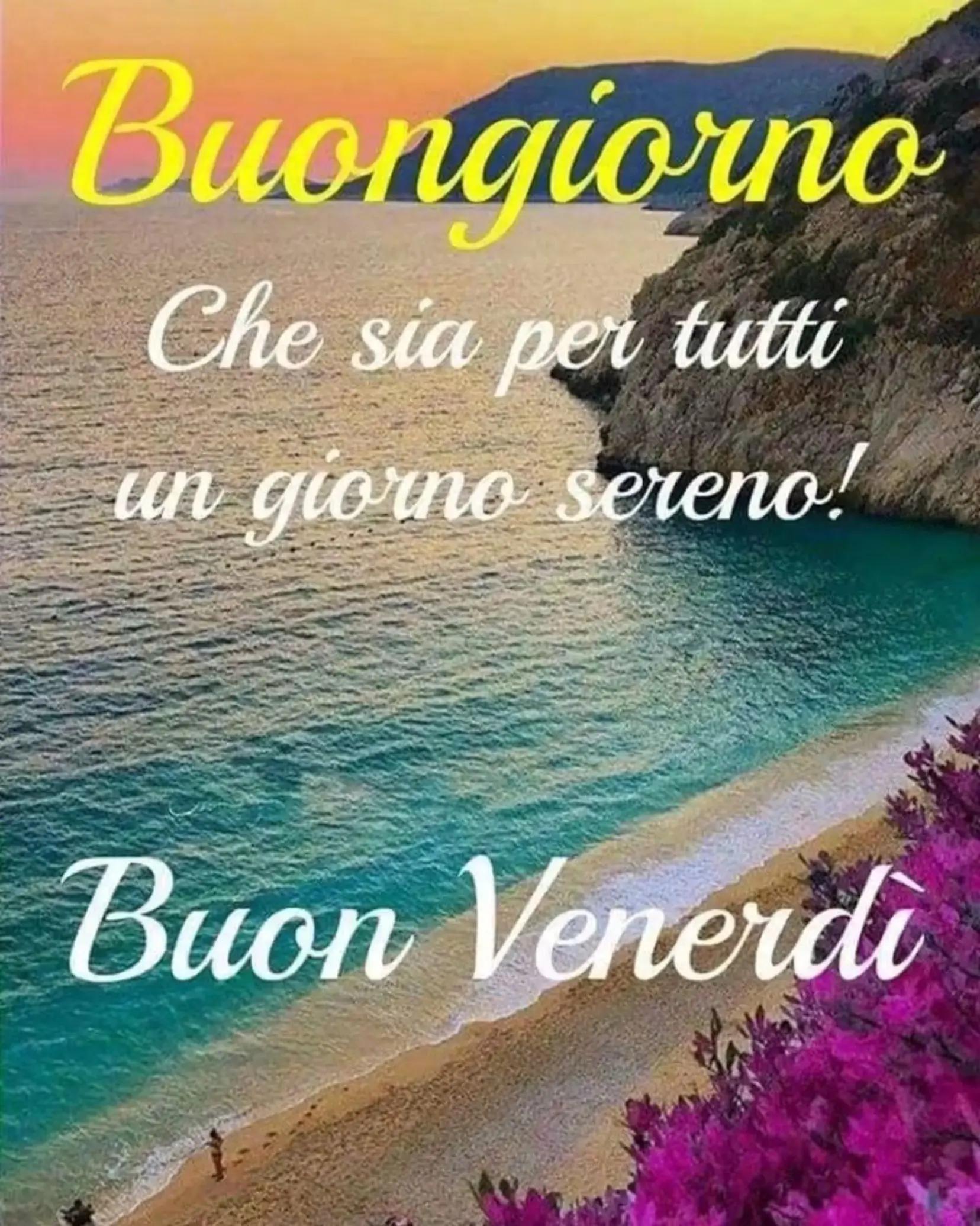 @leonessa