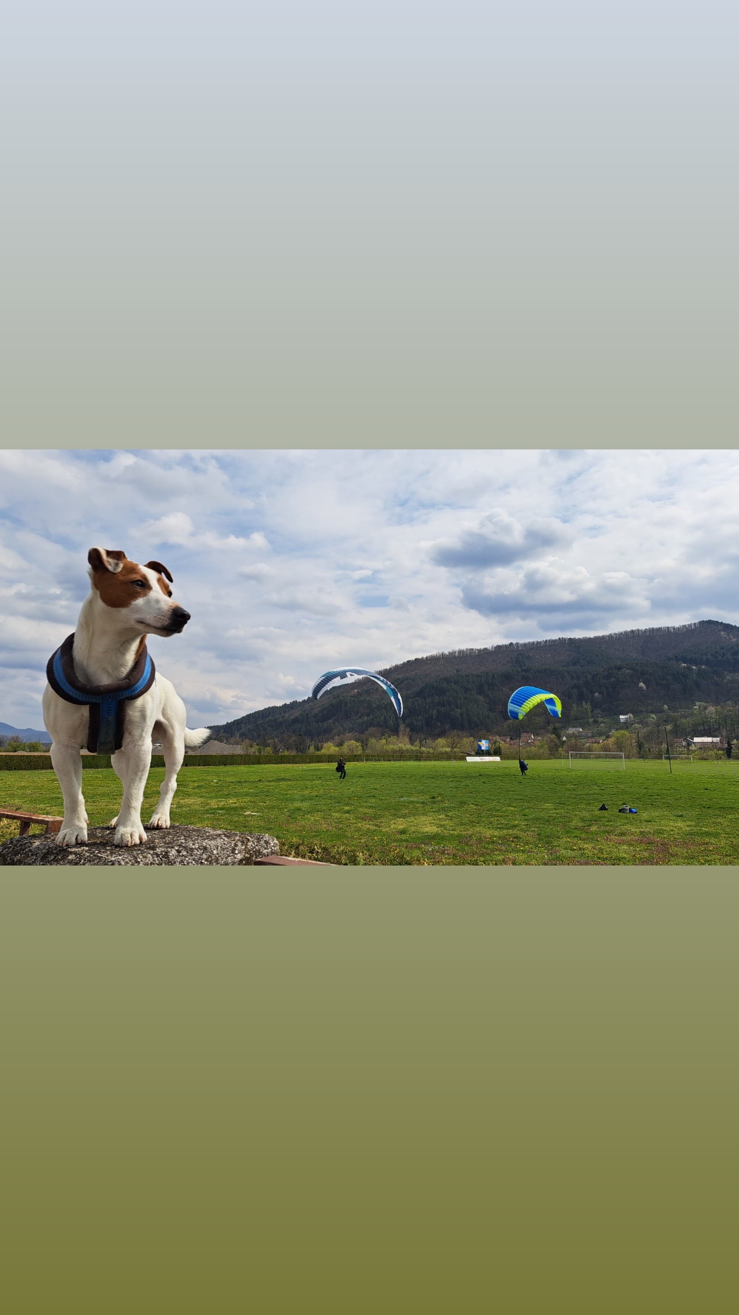 @Paragliding
