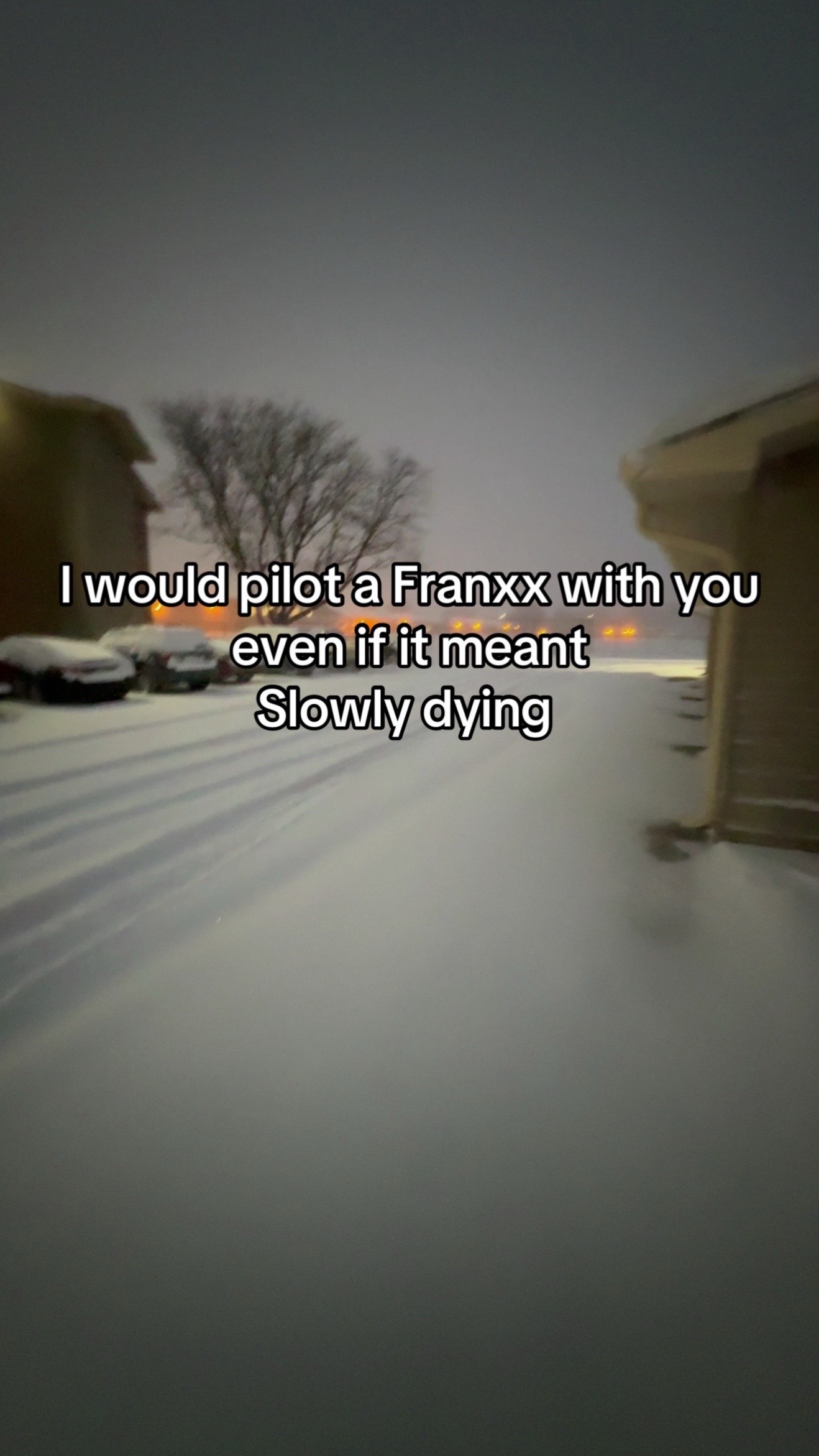 @vxnz