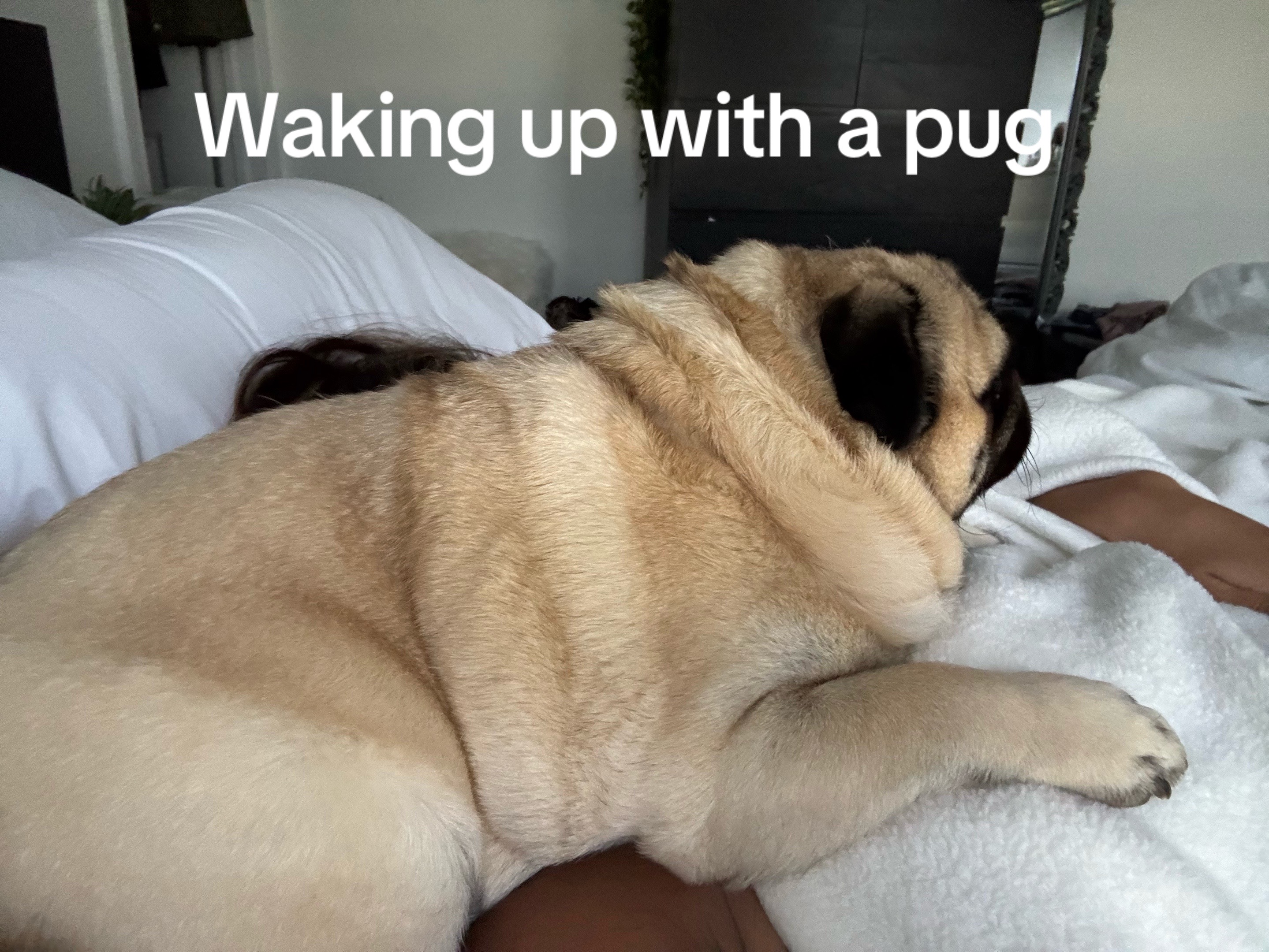 @PUGNAROUND