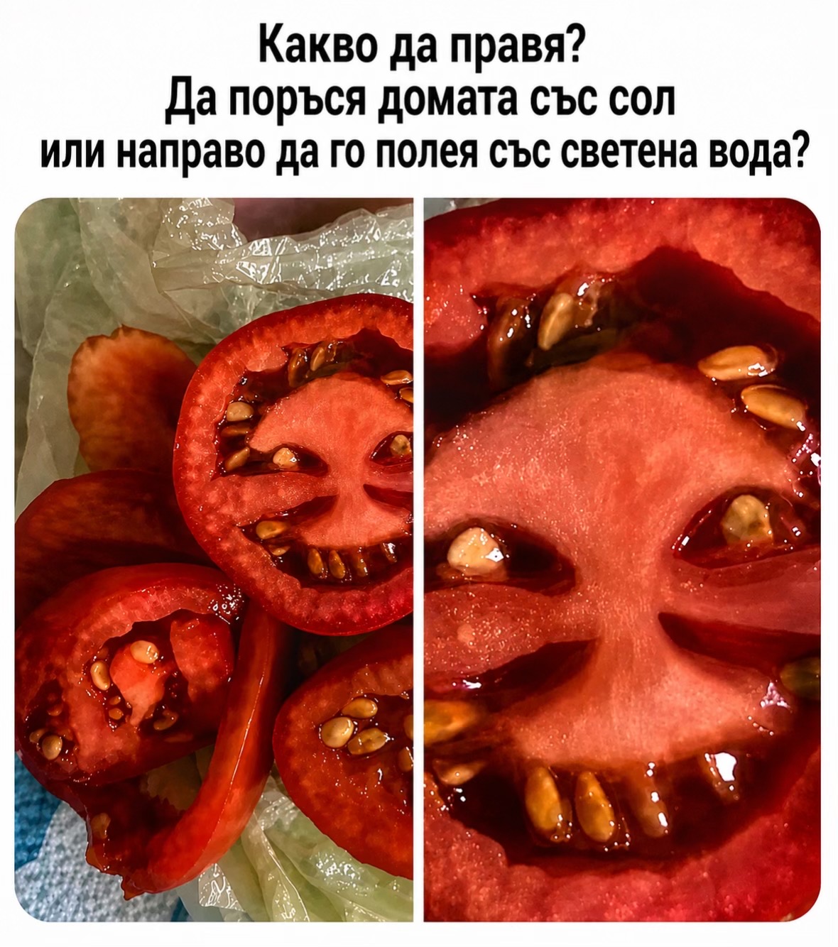 @Vitlz Bulgaria