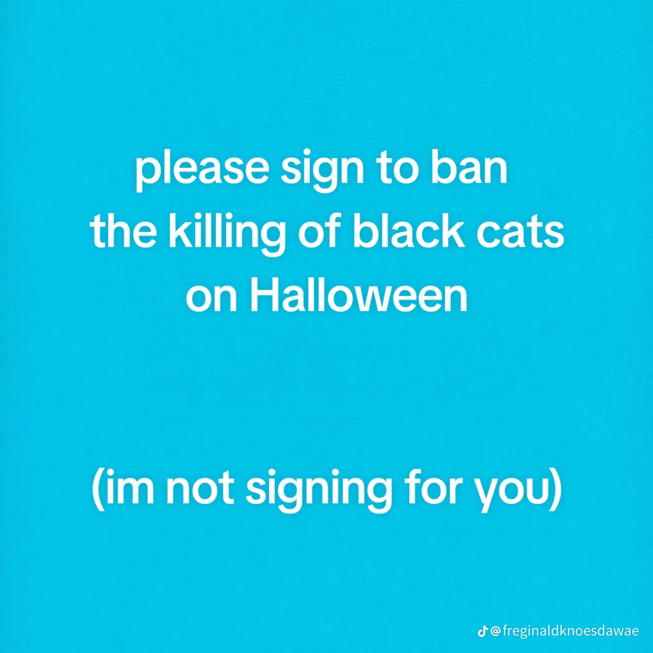 @🎃༺ღ༒ ѕησσρу ༒ღ༻🎃