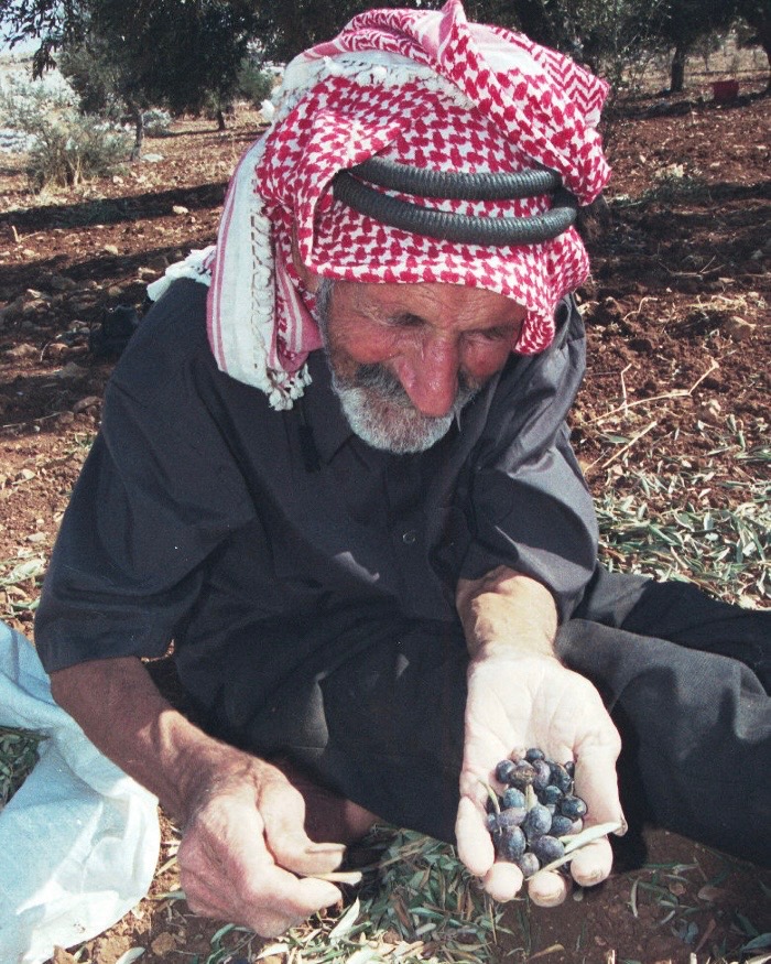 @ديــون نــايـتـس
